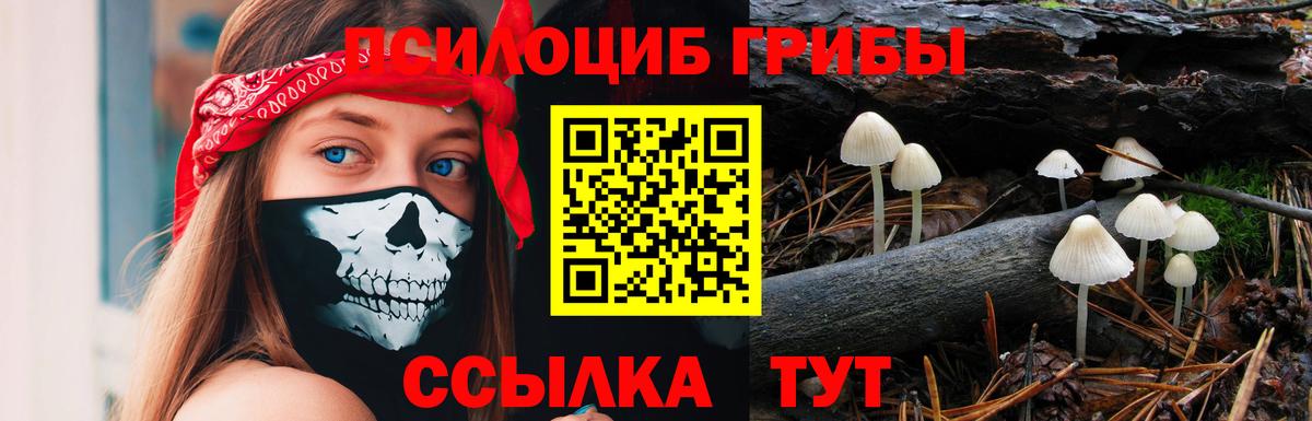 Галлюциногенные грибы мицелий Партизанск