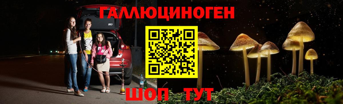 Партизанск  Псилоцибиновые грибы мицелий  Вход с VPN 